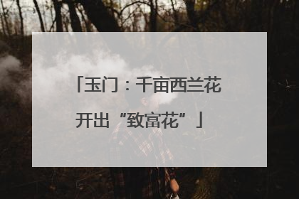 玉门：千亩西兰花开出“致富花”