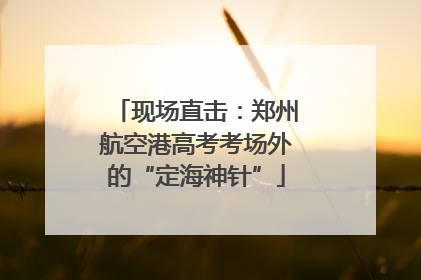 现场直击：郑州航空港高考考场外的“定海神针”