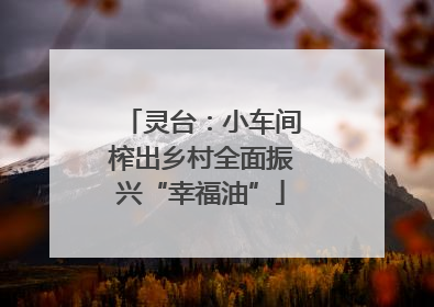 灵台：小车间榨出乡村全面振兴“幸福油”