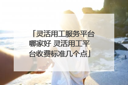 灵活用工服务平台哪家好 灵活用工平台收费标准几个点
