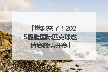 燃起来了！2025鹤壁国际匹克球邀请赛激情开赛