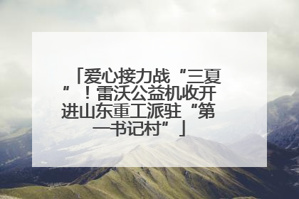 爱心接力战“三夏”！雷沃公益机收开进山东重工派驻“第一书记村”