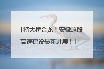 特大桥合龙！安徽这段高速建设最新进展！