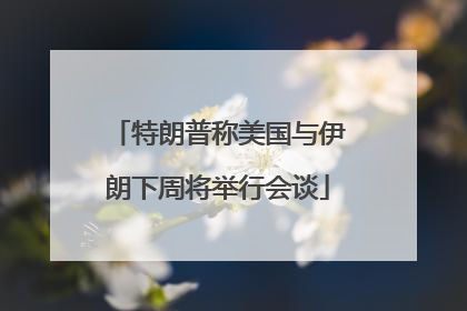 特朗普称美国与伊朗下周将举行会谈