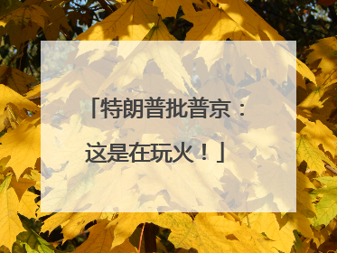 特朗普批普京：这是在玩火！