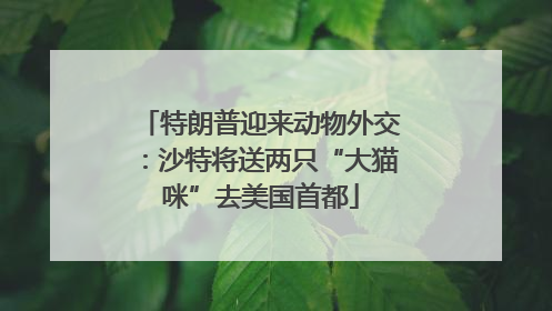 特朗普迎来动物外交：沙特将送两只“大猫咪”去美国首都