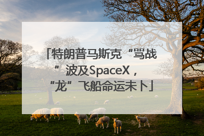 特朗普马斯克“骂战”波及SpaceX，“龙”飞船命运未卜