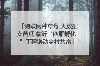 物联网种草莓 大数据卖黄瓜 临沂“四雁孵化”工程链动乡村共富