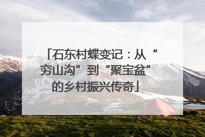 石东村蝶变记：从“穷山沟”到“聚宝盆”的乡村振兴传奇