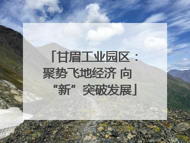 甘眉工业园区：聚势飞地经济 向“新”突破发展
