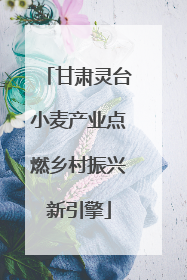 甘肃灵台小麦产业点燃乡村振兴新引擎