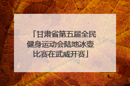 甘肃省第五届全民健身运动会陆地冰壶比赛在武威开赛