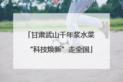 甘肃武山千年浆水菜“科技焕新”走全国