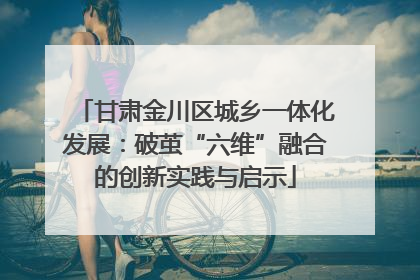 甘肃金川区城乡一体化发展：破茧“六维”融合的创新实践与启示