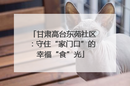 甘肃高台东苑社区：守住“家门口”的幸福“食”光