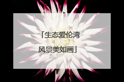 生态爱伦湾 风景美如画
