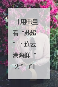 用电量看“苏超”：连云港海鲜“火”了