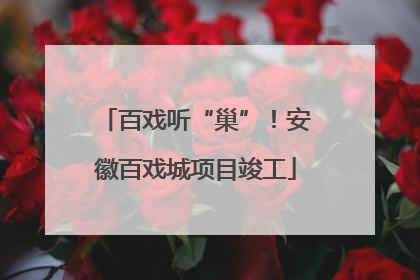 百戏听“巢”！安徽百戏城项目竣工