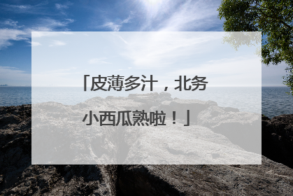 皮薄多汁，北务小西瓜熟啦！