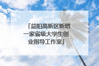 益阳高新区新增一家省级大学生创业指导工作室