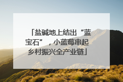 盐碱地上结出“蓝宝石”，小蓝莓串起乡村振兴全产业链