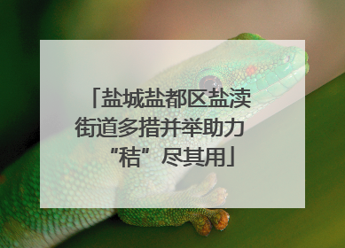 盐城盐都区盐渎街道多措并举助力“秸”尽其用