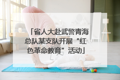 省人大赴武警青海总队某支队开展“红色革命教育”活动