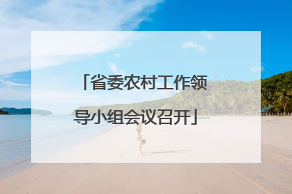 省委农村工作领导小组会议召开