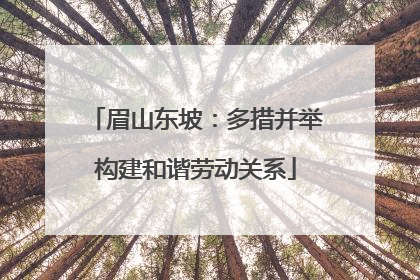 眉山东坡：多措并举构建和谐劳动关系