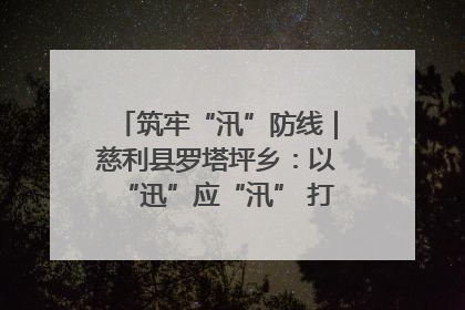 筑牢“汛”防线｜慈利县罗塔坪乡：以“迅”应“汛” 打赢暴雨防御战