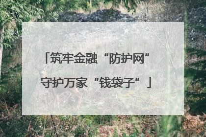 筑牢金融“防护网” 守护万家“钱袋子”