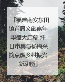 福建南安东田镇首届文旅嘉年华盛大启幕 圩日市集与杨梅采摘点燃乡村振兴新动能