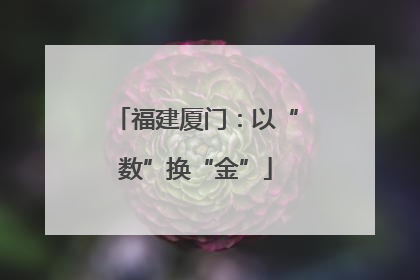 福建厦门：以“数”换“金”