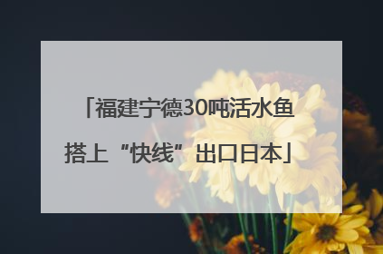 福建宁德30吨活水鱼搭上“快线”出口日本