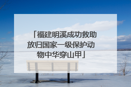 福建明溪成功救助放归国家一级保护动物中华穿山甲