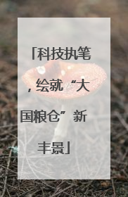 科技执笔，绘就“大国粮仓”新丰景