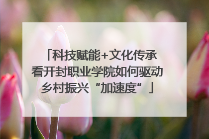 科技赋能+文化传承 看开封职业学院如何驱动乡村振兴“加速度”