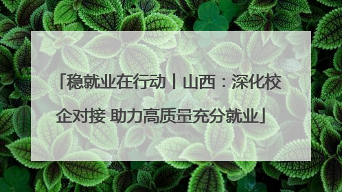 稳就业在行动丨山西：深化校企对接 助力高质量充分就业