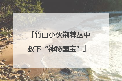 竹山小伙荆棘丛中救下“神秘国宝”