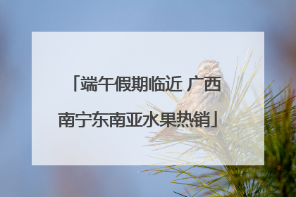 端午假期临近 广西南宁东南亚水果热销