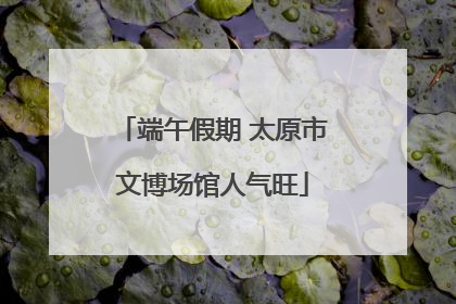 端午假期 太原市文博场馆人气旺