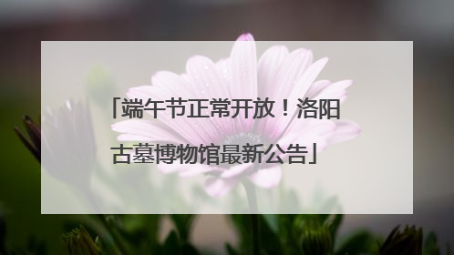 端午节正常开放！洛阳古墓博物馆最新公告