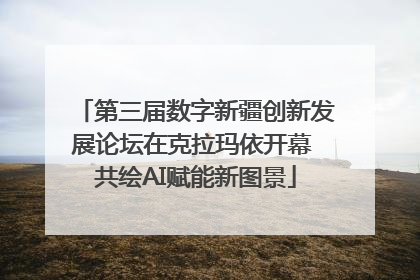 第三届数字新疆创新发展论坛在克拉玛依开幕 共绘AI赋能新图景