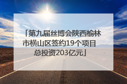 第九届丝博会陕西榆林市横山区签约19个项目 总投资203亿元