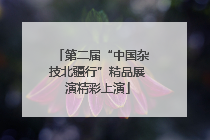第二届“中国杂技北疆行”精品展演精彩上演