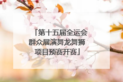 第十五届全运会群众展演舞龙舞狮项目预赛开赛