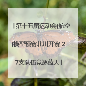 第十五届运动会(航空)模型预赛北川开赛 27支队伍竞逐蓝天