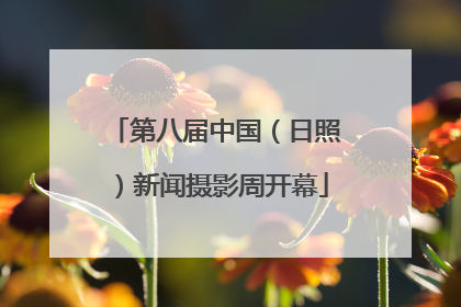 第八届中国（日照）新闻摄影周开幕
