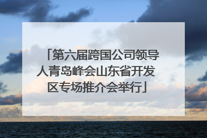 第六届跨国公司领导人青岛峰会山东省开发区专场推介会举行
