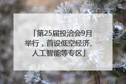 第25届投洽会9月举行，首设低空经济、人工智能等专区